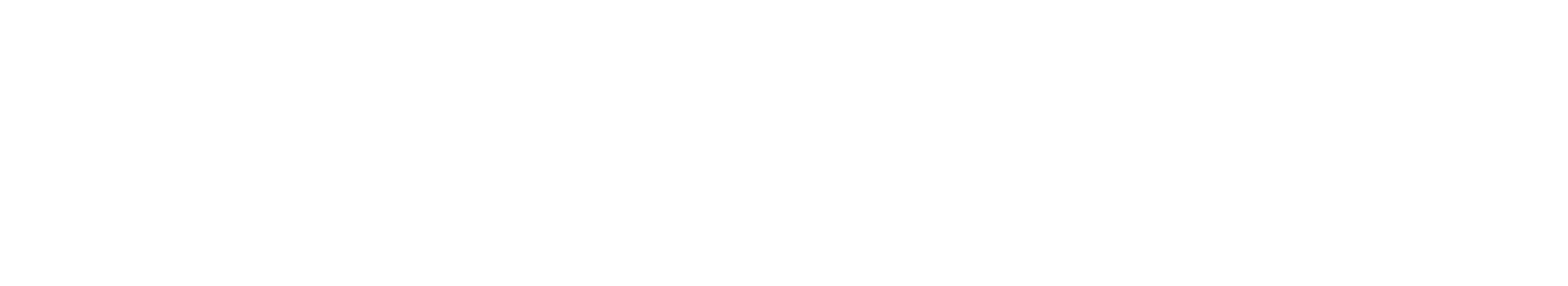 Logo technix Blanc